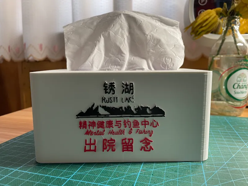 锈湖精神病院出院留念纸巾盒