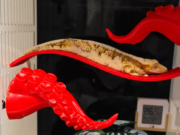 https://makerworld.bblmw.com/makerworld/model/DSM00000002063306/design/2025-12-01_905e517a3af0e.jpg