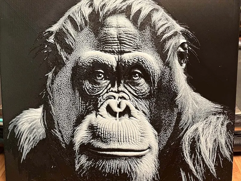 OrangUtan - HueForge - S/W
