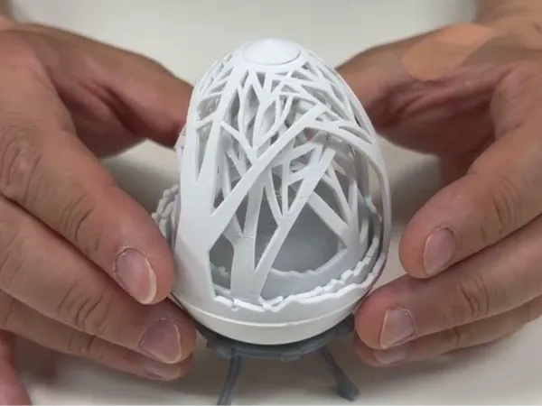 https://makerworld.bblmw.com/makerworld/model/DSM00000002063971/design/2025-12-01_a1c78db5a85e5.jpg