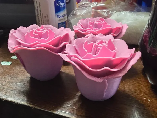 https://makerworld.bblmw.com/makerworld/model/DSM00000002064991/design/2025-12-01_e516bf97c80c1.jpg
