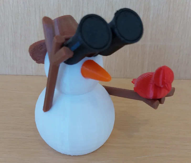 Birder Boi snowman