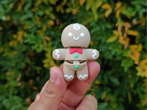 https://makerworld.bblmw.com/makerworld/model/DSM00000002066242/design/2025-12-01_07d489467c901.jpg