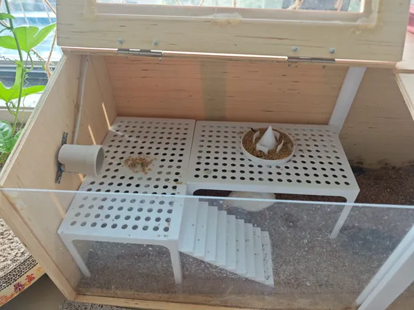 https://makerworld.bblmw.com/makerworld/model/DSM00000002066564/design/2025-12-02_e959fe2edbc45.jpg