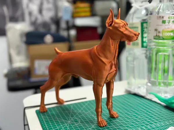 https://makerworld.bblmw.com/makerworld/model/DSM00000002066756/design/2025-12-02_92ae5e3e250fd8.jpg