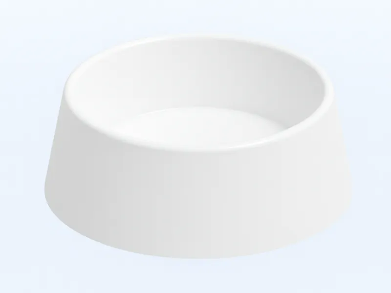 Cat Food Bowl