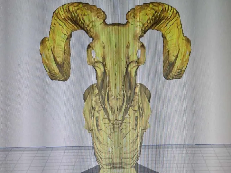 ram hood ornament with base