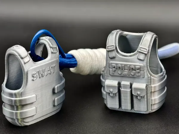 https://makerworld.bblmw.com/makerworld/model/DSM00000002071123/design/2025-12-03_88cb6fd6862ef.jpg