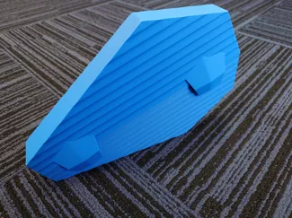 table tennis racket case