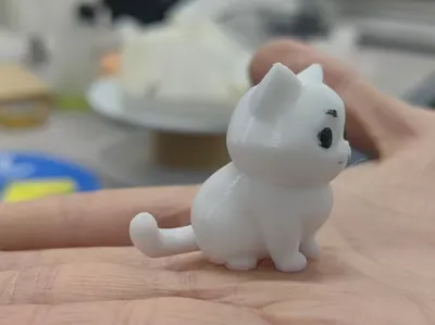 Chubby Cat
