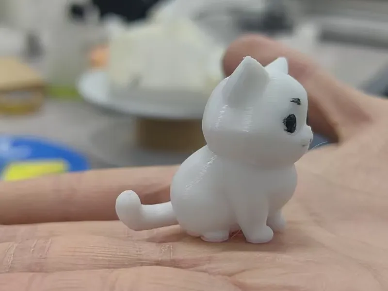 胖胖猫