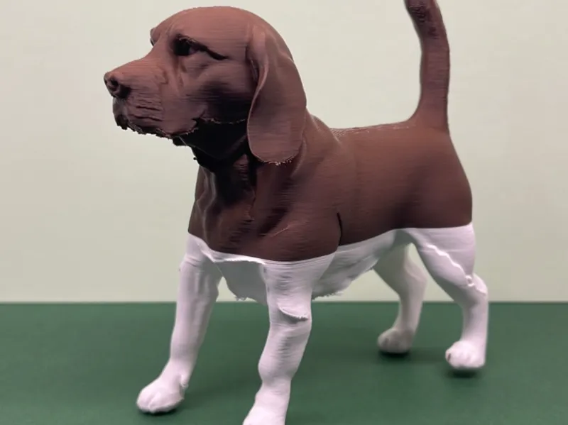 PERRO 