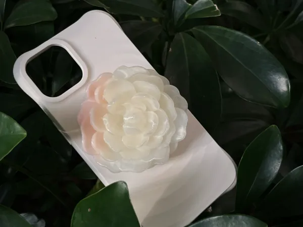 https://makerworld.bblmw.com/makerworld/model/DSM00000002078662/design/2025-12-05_259330a934e35.jpg