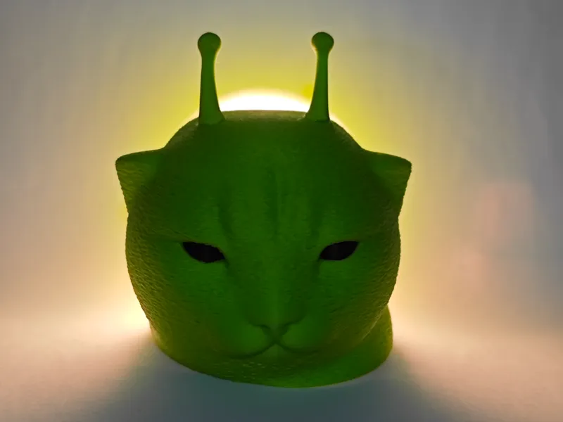 外星小猫