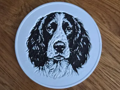 Coaster with image of a Springer Spaniel