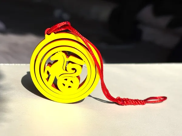 https://makerworld.bblmw.com/makerworld/model/DSM00000002081828/design/2025-12-06_70bca8f08bb7b.jpg