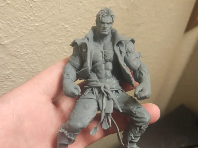 The Street Brawler