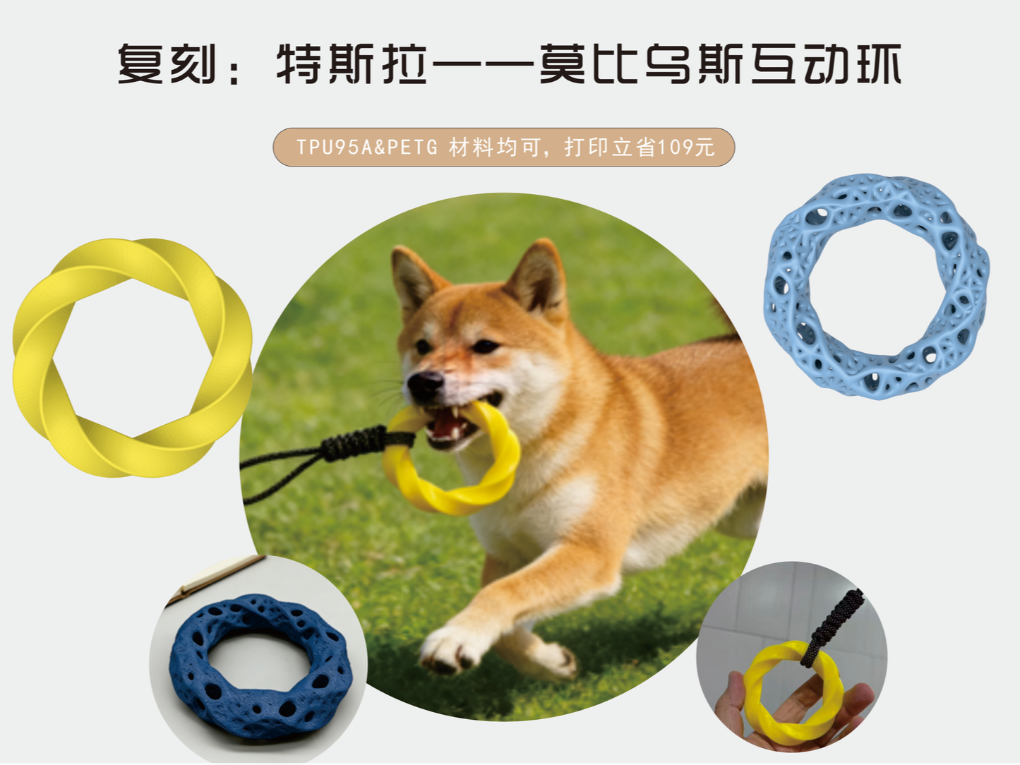 特斯拉宠物莫比乌斯互动环