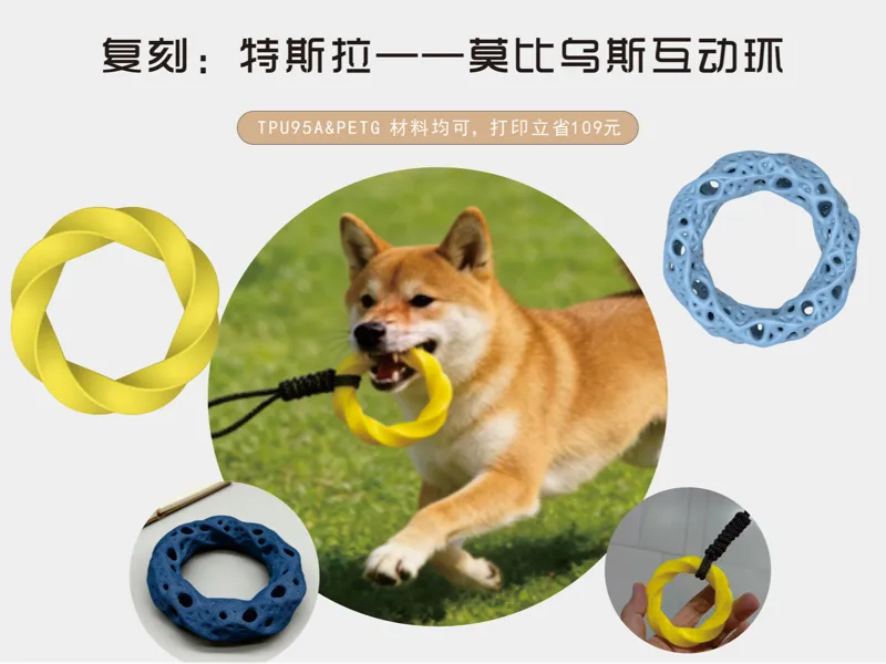 特斯拉宠物莫比乌斯互动环