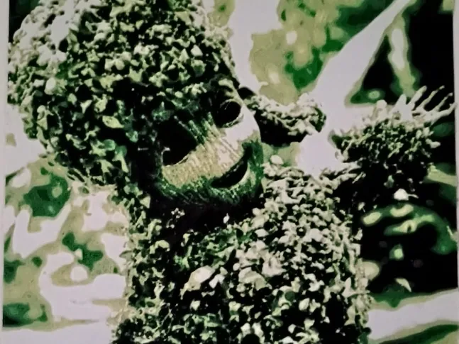 GROOT