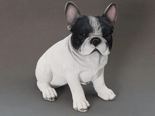 幼年斗牛犬 老虎狗 牛头犬