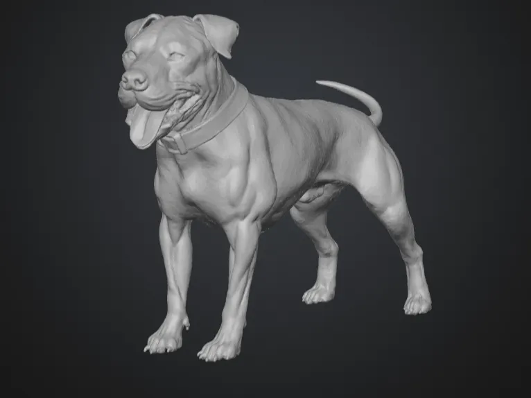 happy pitbull