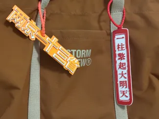 “一柱擎起大明天”不会是阁下你的大作吧!