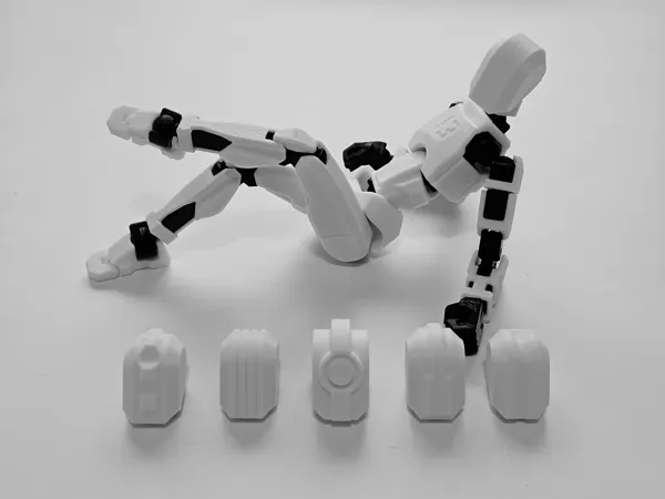 https://makerworld.bblmw.com/makerworld/model/DSM00000002087644/design/2025-12-07_1be68dc60956c.jpg