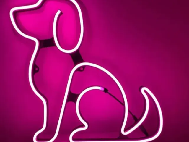 Dog neon led frame 40cm