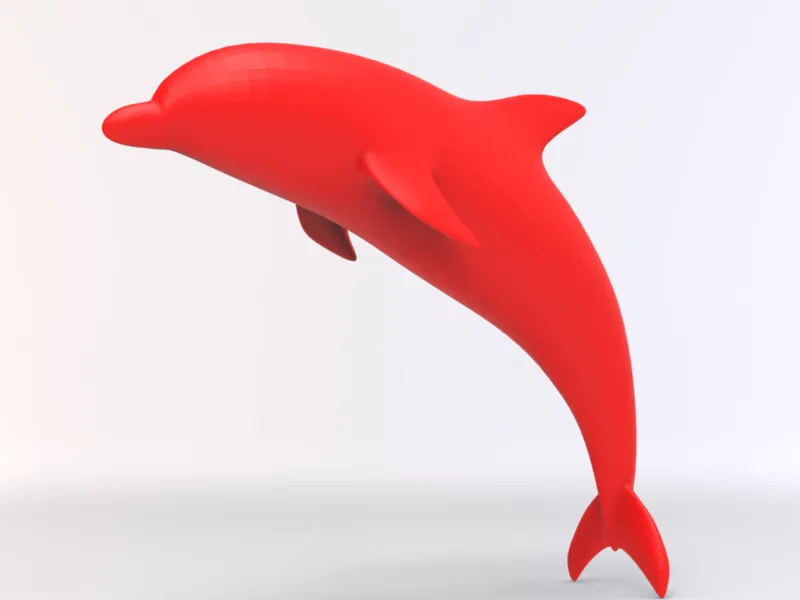 dolphin