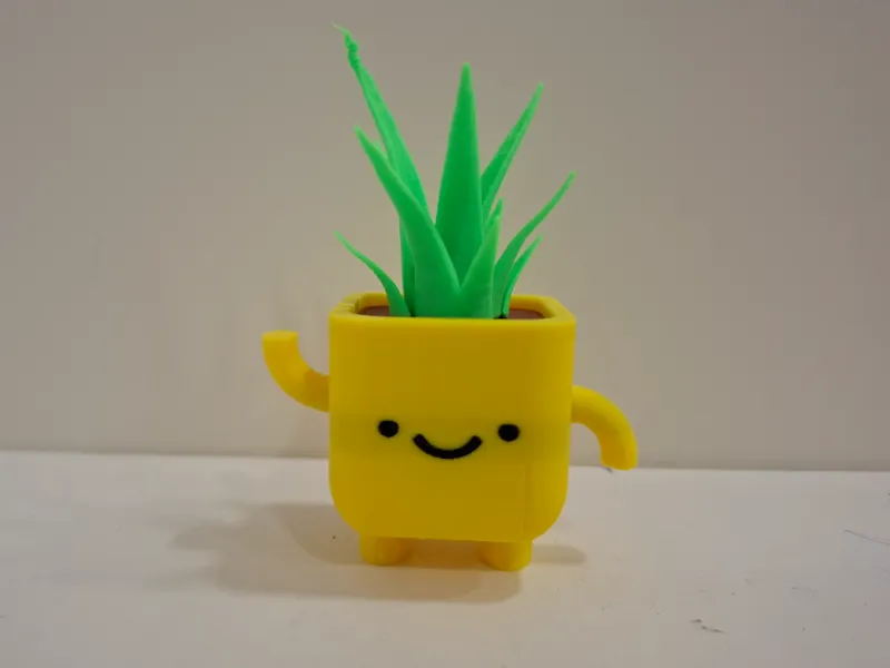 funny plant