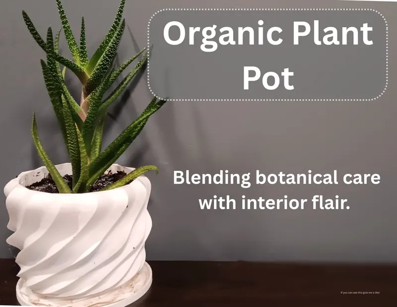 Plant Pot