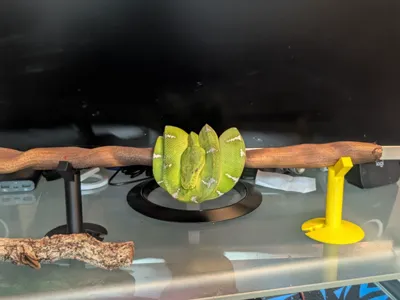 Arboreal Desktop Perch Holder
