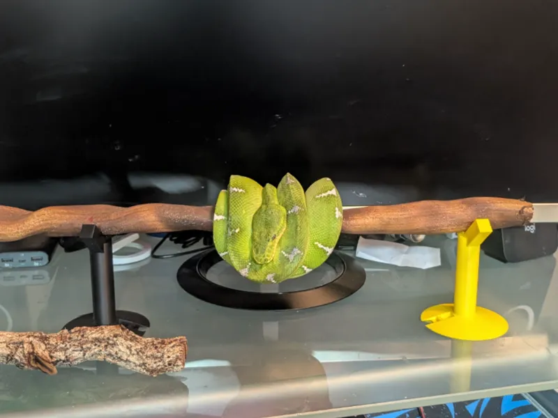 Arboreal Desktop Perch Holder