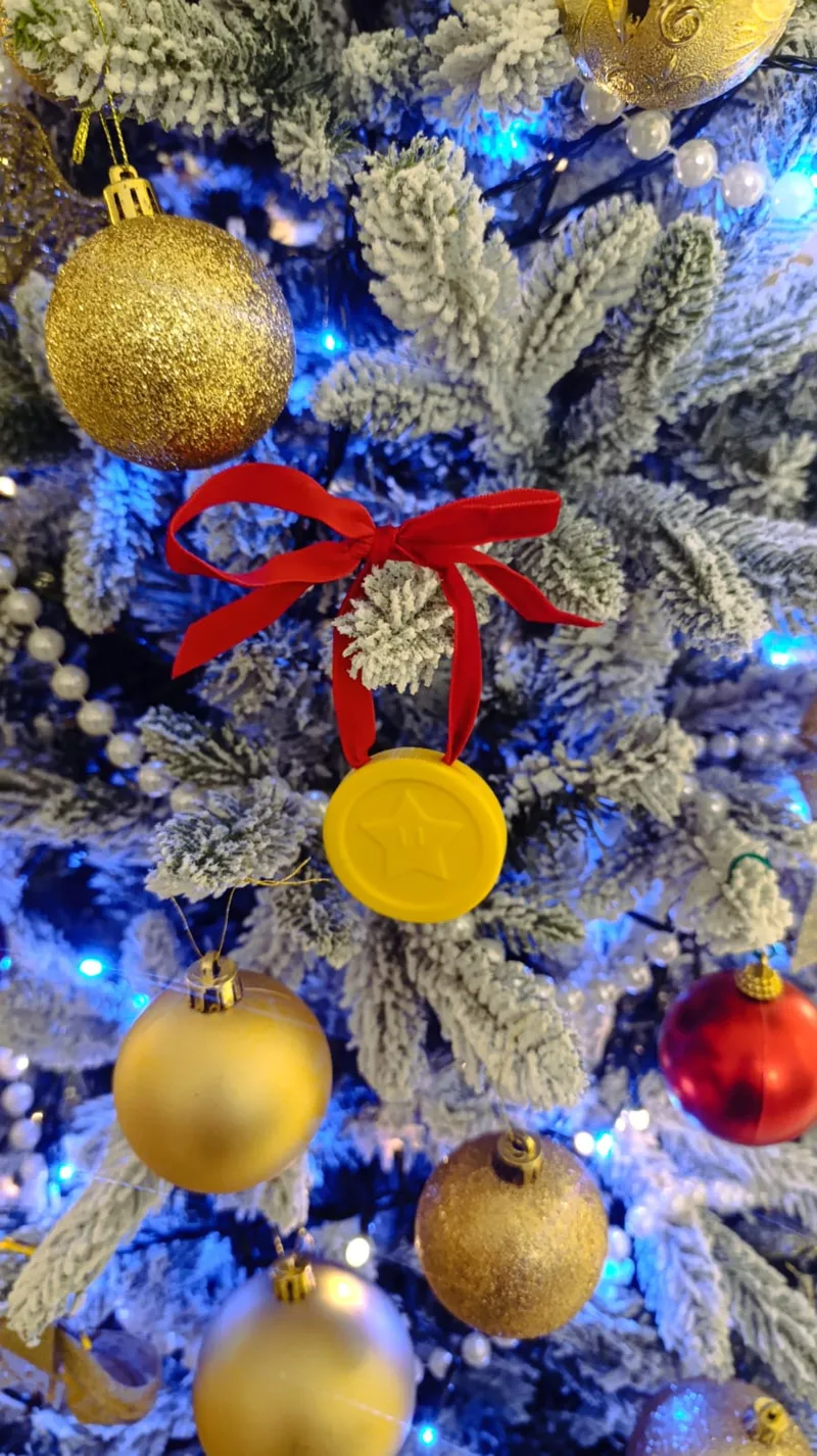 Super Mario Coin Xmas Edition
