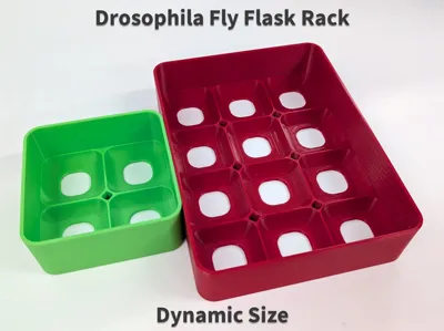 Dynamic drosophila fly flask rack