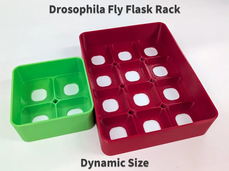 Dynamic drosophila fly flask rack