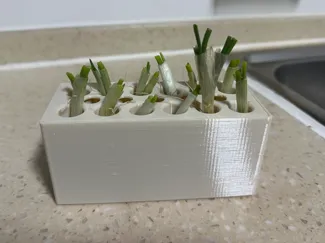 水培小葱架