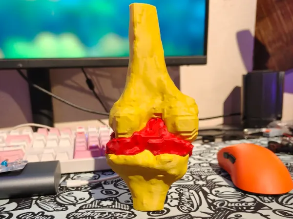 https://makerworld.bblmw.com/makerworld/model/DSM00000002092085/design/2025-12-08_dde3df00b3ee08.jpg