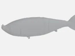 fishing lure