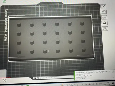 Coral Transport Tray