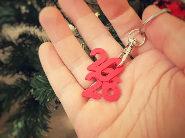 https://makerworld.bblmw.com/makerworld/model/DSM00000002095198/design/2025-12-09_3ac7ca3197733.jpg