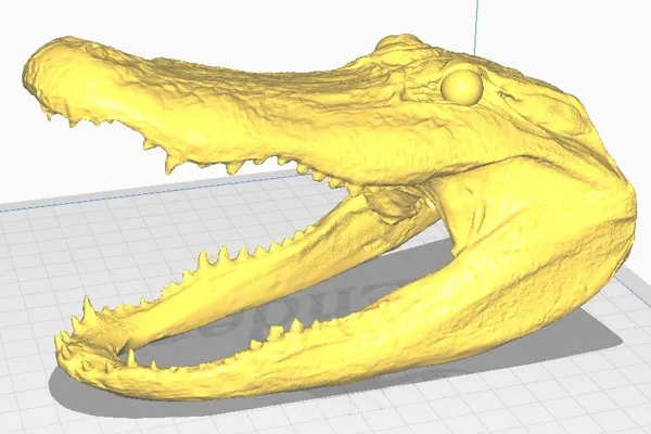 https://makerworld.bblmw.com/makerworld/model/DSM00000002096847/design/2025-12-10_bavxsiajebdr.jpg