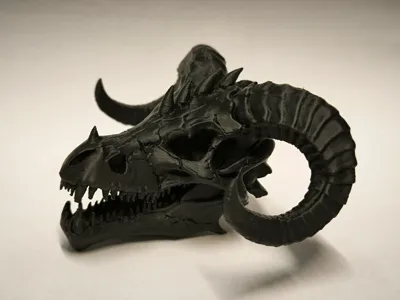Dragon skull with horns
