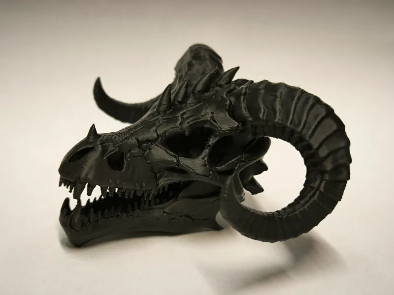 Dragon skull with horns