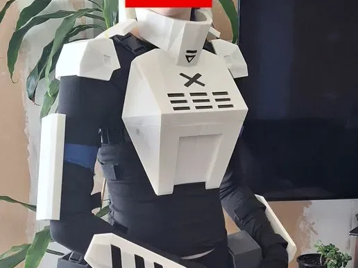 Signalis Kolibri armor