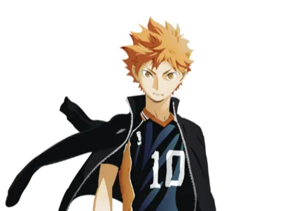 Hinata Shoyo Haikyu