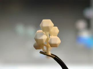 低模树多树团版本