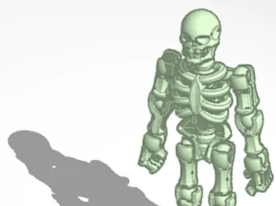 flexible skeleton