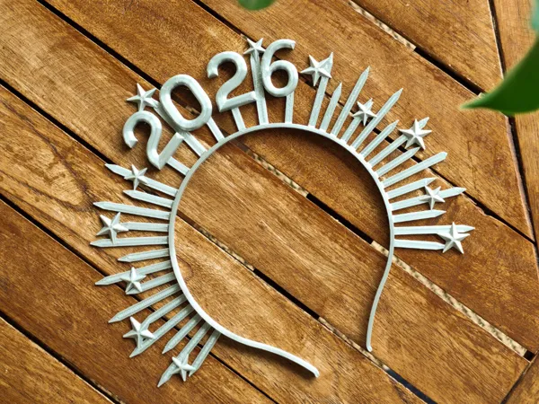 https://makerworld.bblmw.com/makerworld/model/DSM00000002099108/design/2025-12-10_5fc47958765b18.jpg
